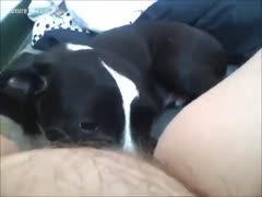 A fat woman gets a dog's head.